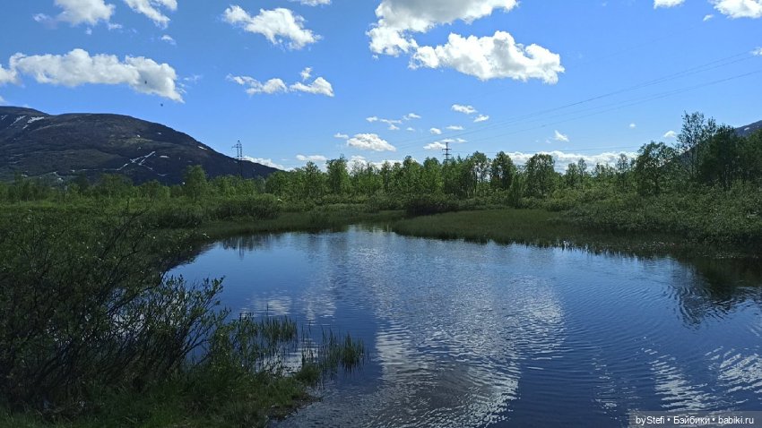 Выловили солнечный денёк 19.06.2021. Заполярье. Прогулка. Часть 1