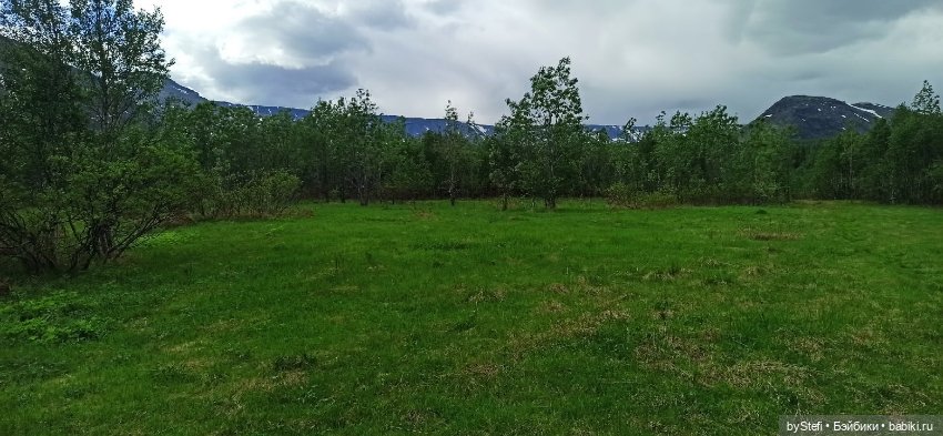 Выловили солнечный денёк 19.06.2021. Заполярье. Прогулка. Часть 3