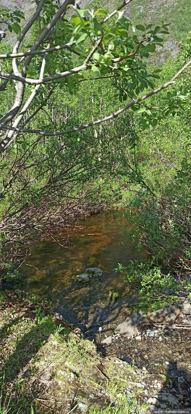 Выловили солнечный денёк 19.06.2021. Заполярье. Прогулка. Часть 2