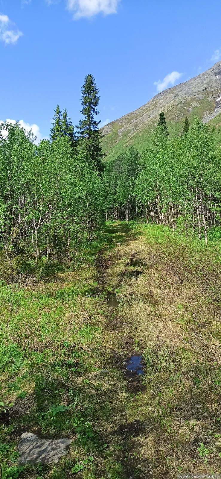 Выловили солнечный денёк 19.06.2021. Заполярье. Прогулка. Часть 2 (фото 10)