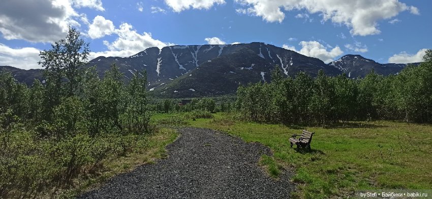 Выловили солнечный денёк 19.06.2021. Заполярье. Прогулка. Часть 2
