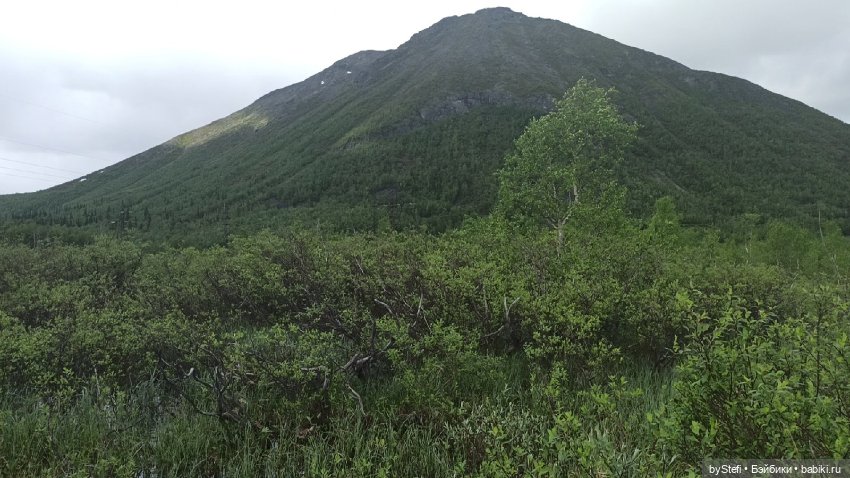 Выловили солнечный денёк)) 19.06.2021. Заполярье. Прогулка. Часть 4 (фото 8)