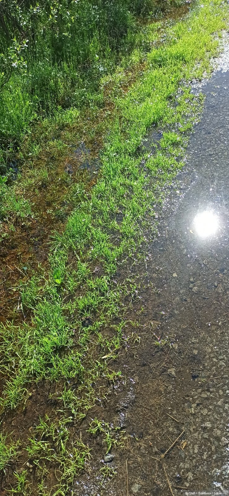 Выловили солнечный денёк 19.06.2021. Заполярье. Прогулка. Часть 1 (фото 9)