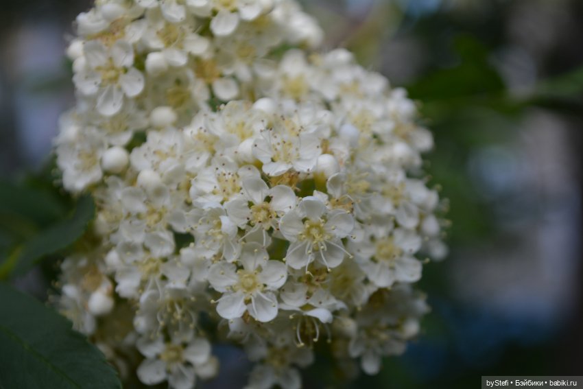 Выловили солнечный денёк 19.06.2021. Заполярье. Прогулка. Часть 6. Заключительная