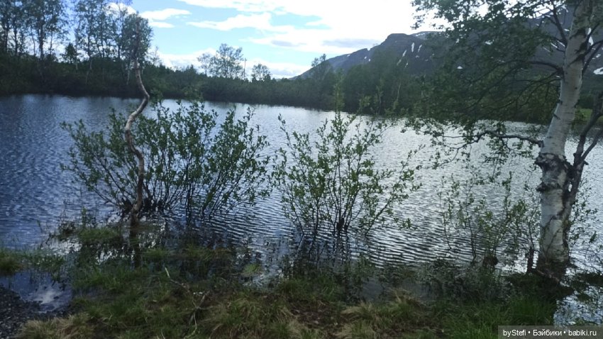 Выловили солнечный денёк 19.06.2021. Заполярье. Прогулка. Часть 3