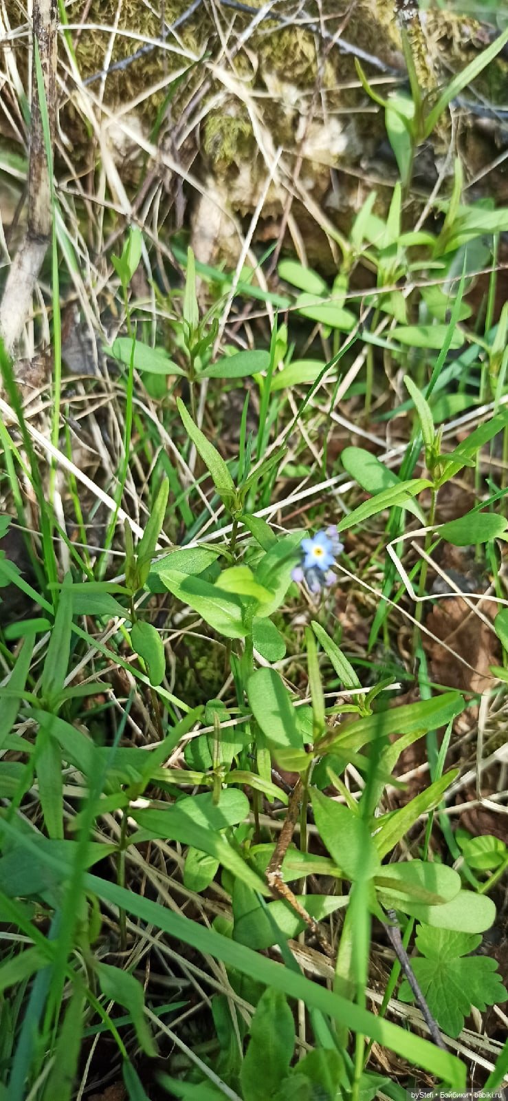 Выловили солнечный денёк 19.06.2021. Заполярье. Прогулка. Часть 2