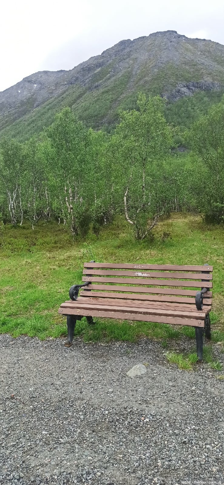 Выловили солнечный денёк 19.06.2021. Заполярье. Прогулка. Часть 3