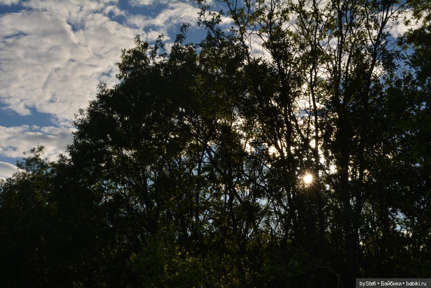 Выловили солнечный денёк 19.06.2021. Заполярье. Прогулка. Часть 5 (фото 10)