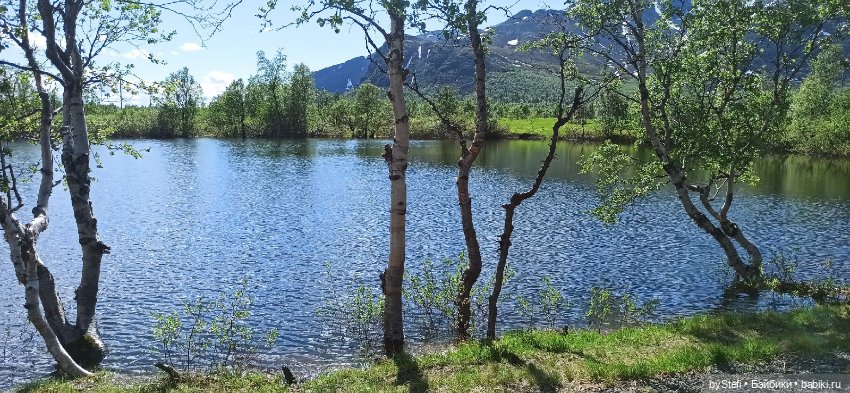 Выловили солнечный денёк 19.06.2021. Заполярье. Прогулка. Часть 1