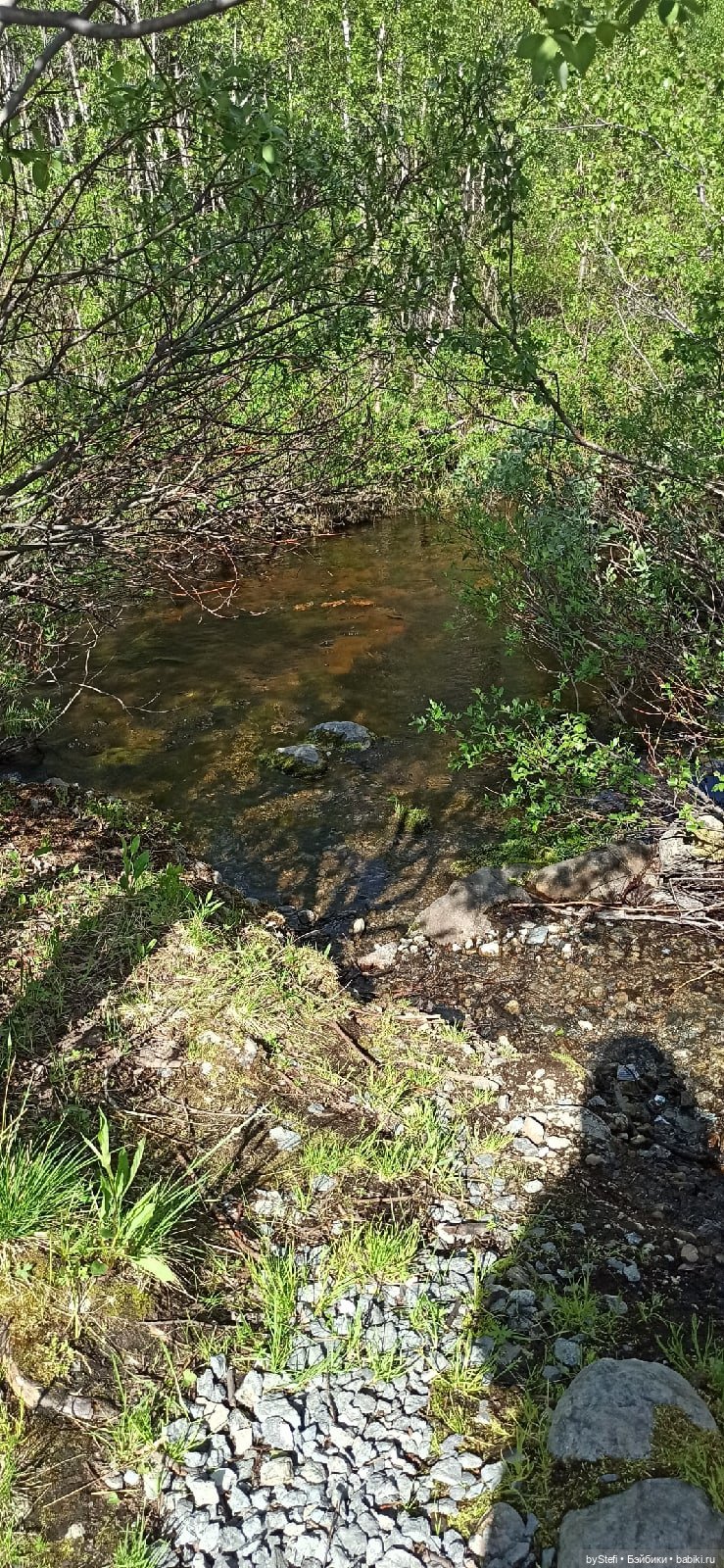 Выловили солнечный денёк 19.06.2021. Заполярье. Прогулка. Часть 2