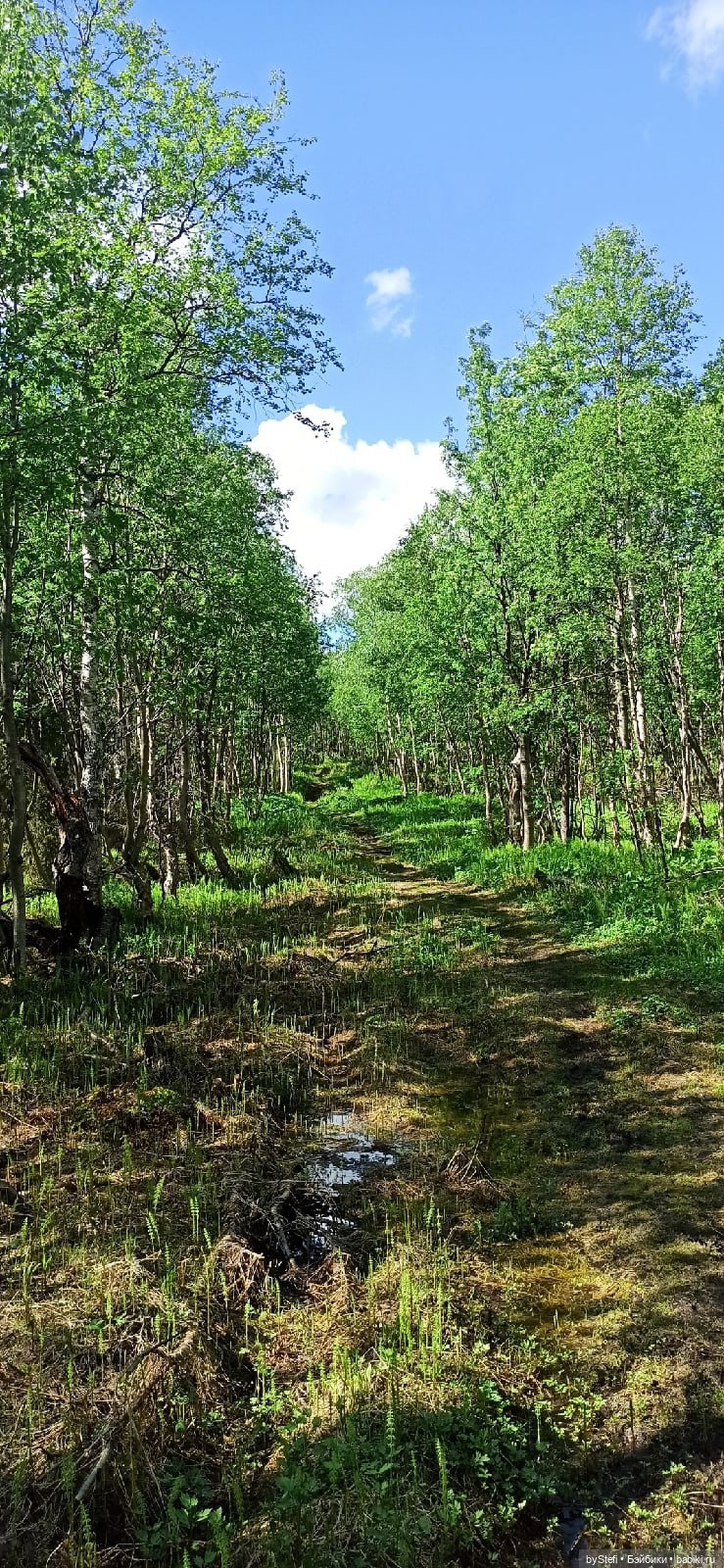 Выловили солнечный денёк 19.06.2021. Заполярье. Прогулка. Часть 2