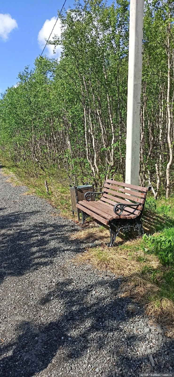 Выловили солнечный денёк 19.06.2021. Заполярье. Прогулка. Часть 2 (фото 5)