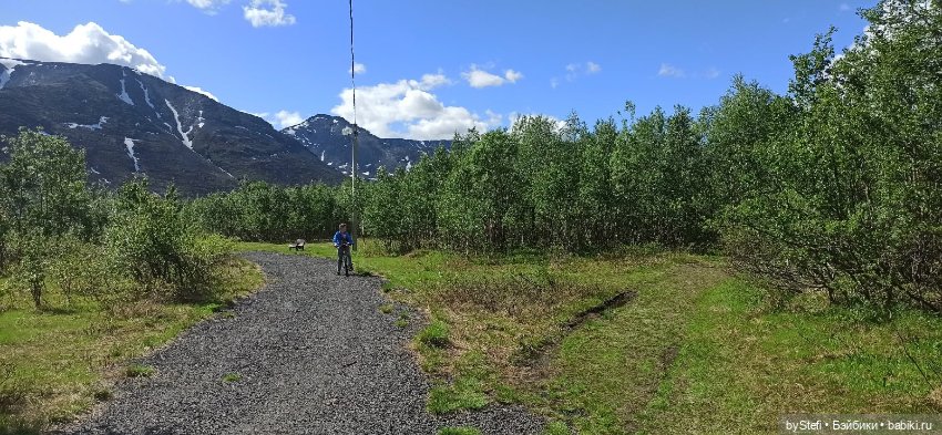 Выловили солнечный денёк 19.06.2021. Заполярье. Прогулка. Часть 2 (фото 7)
