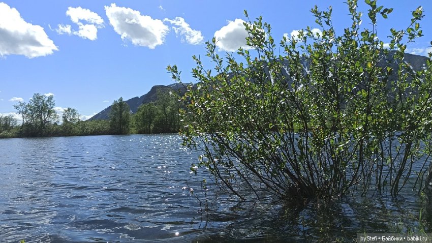 Выловили солнечный денёк 19.06.2021. Заполярье. Прогулка. Часть 1