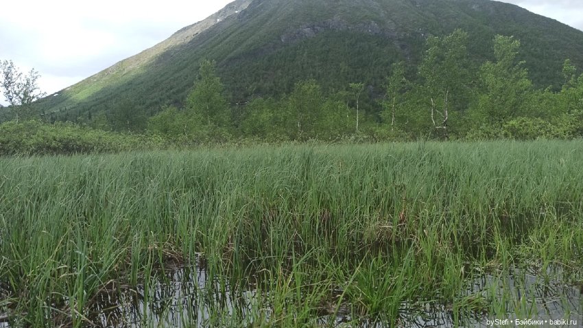 Выловили солнечный денёк)) 19.06.2021. Заполярье. Прогулка. Часть 4