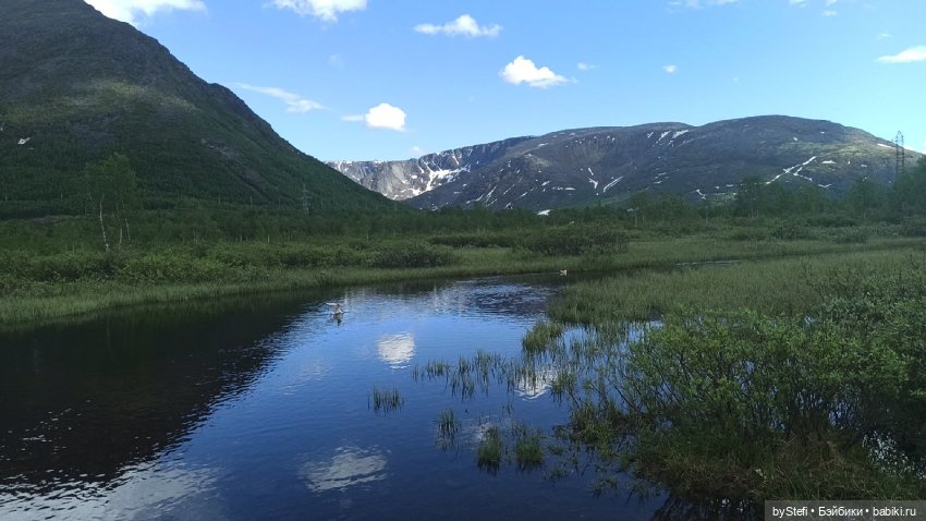 Выловили солнечный денёк 19.06.2021. Заполярье. Прогулка. Часть 3