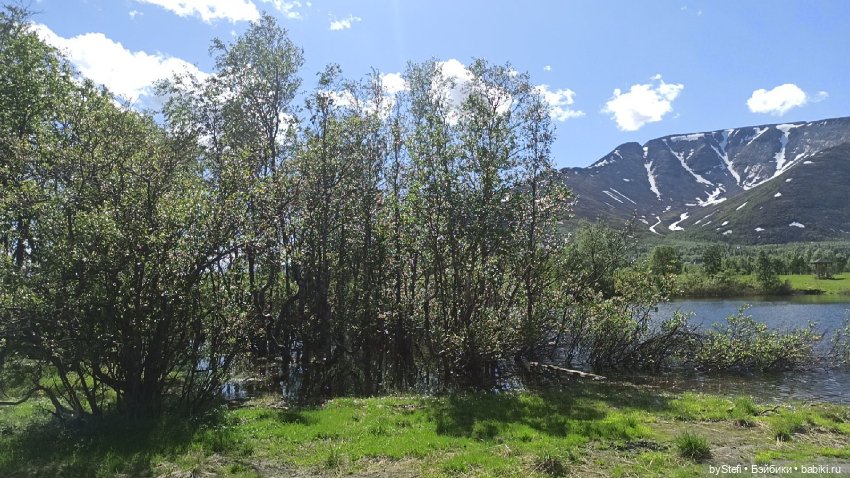 Выловили солнечный денёк 19.06.2021. Заполярье. Прогулка. Часть 1