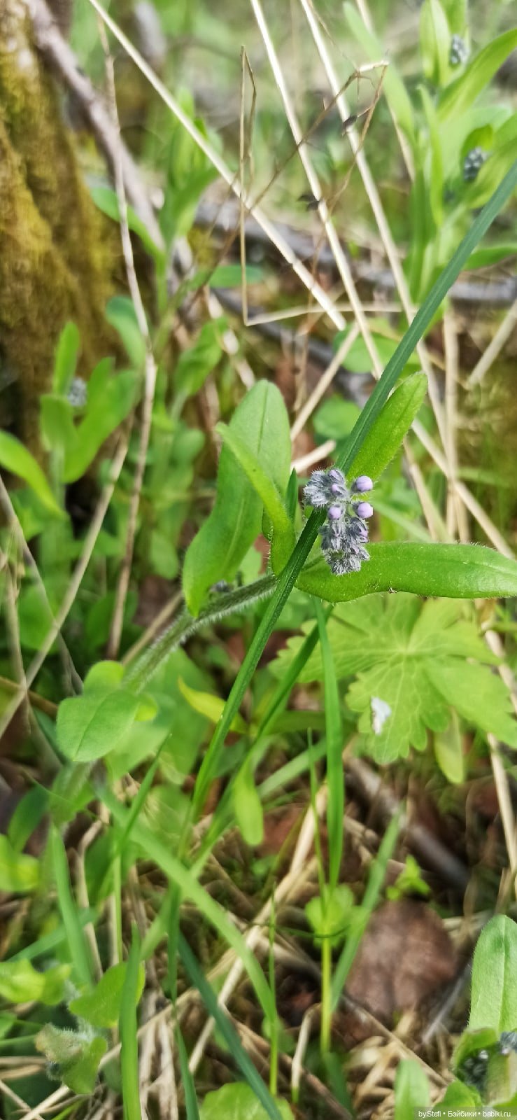 Выловили солнечный денёк 19.06.2021. Заполярье. Прогулка. Часть 2