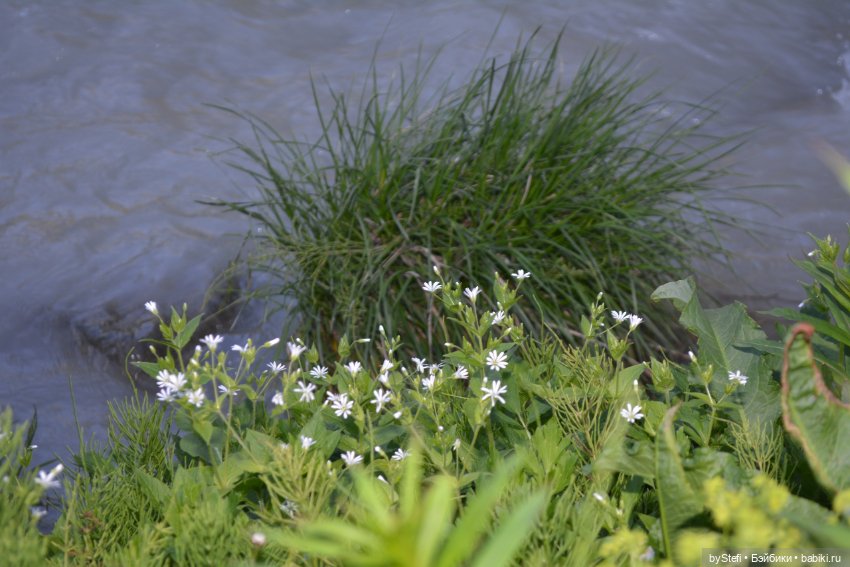 Выловили солнечный денёк 19.06.2021. Заполярье. Прогулка. Часть 6. Заключительная