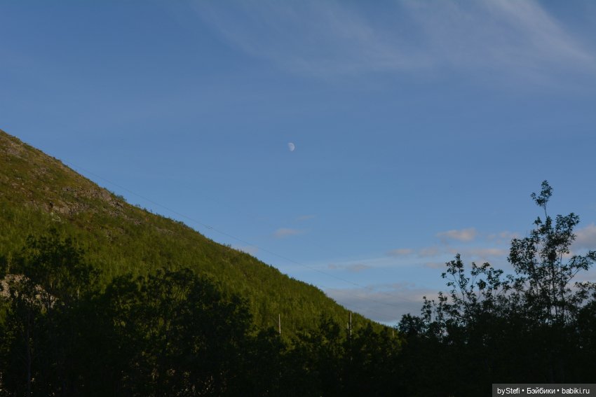 Выловили солнечный денёк 19.06.2021. Заполярье. Прогулка. Часть 6. Заключительная