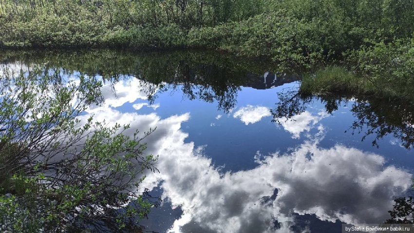 Выловили солнечный денёк 19.06.2021. Заполярье. Прогулка. Часть 3