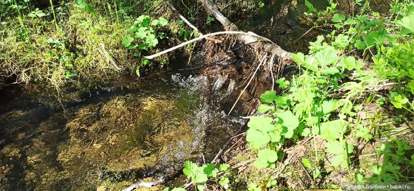 Выловили солнечный денёк 19.06.2021. Заполярье. Прогулка. Часть 2