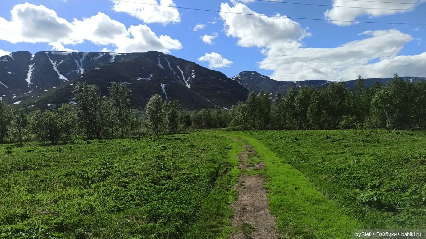 Выловили солнечный денёк 19.06.2021. Заполярье. Прогулка. Часть 3 (фото 9)