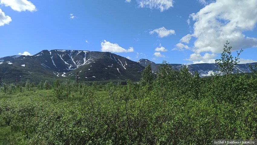 Выловили солнечный денёк 19.06.2021. Заполярье. Прогулка. Часть 1 (фото 8)