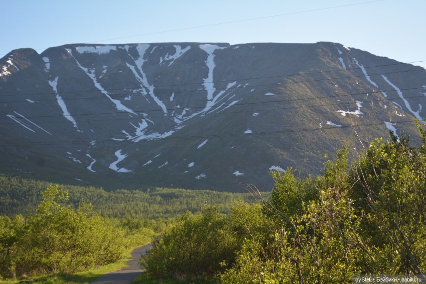 Выловили солнечный денёк 19.06.2021. Заполярье. Прогулка. Часть 5