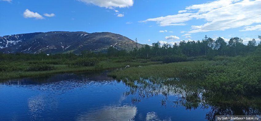 Выловили солнечный денёк)) 19.06.2021. Заполярье. Прогулка. Часть 4 (фото 5)