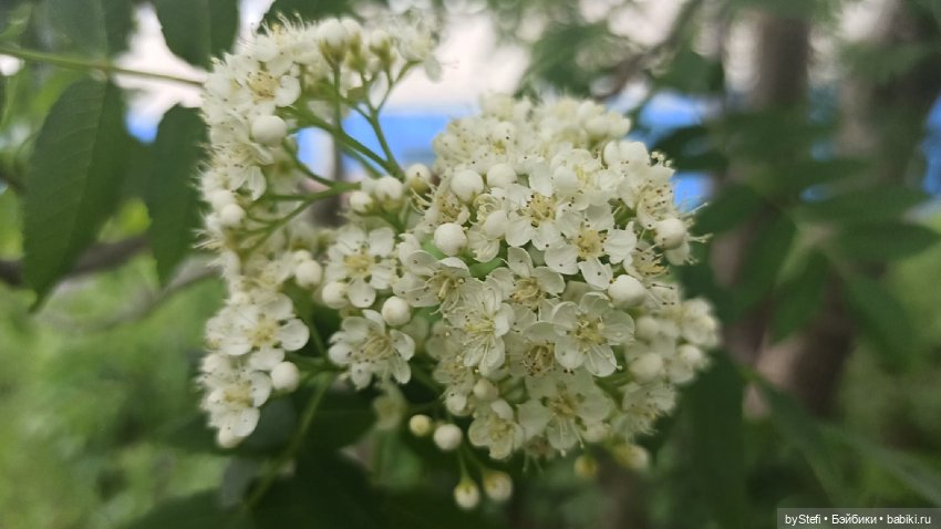 Выловили солнечный денёк)) 19.06.2021. Заполярье. Прогулка. Часть 4
