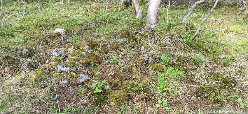 Выловили солнечный денёк 19.06.2021. Заполярье. Прогулка. Часть 2