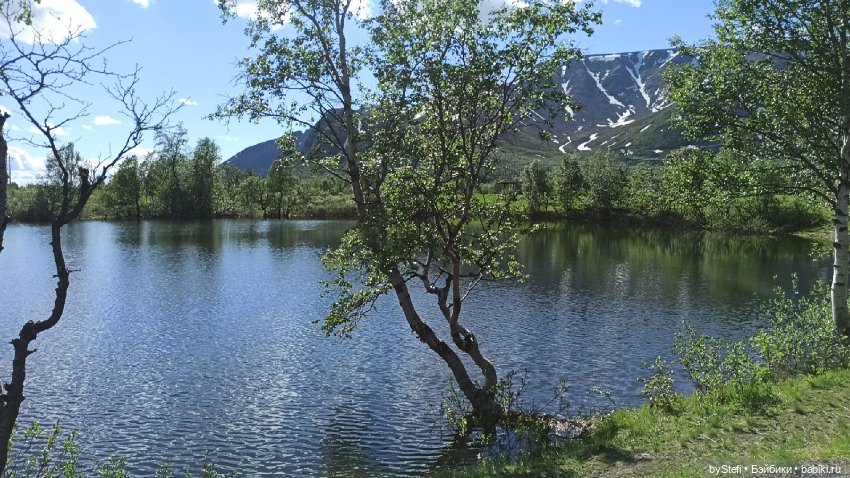 Выловили солнечный денёк 19.06.2021. Заполярье. Прогулка. Часть 1