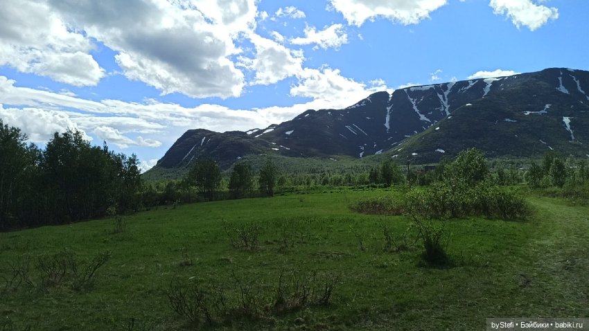 Выловили солнечный денёк 19.06.2021. Заполярье. Прогулка. Часть 2