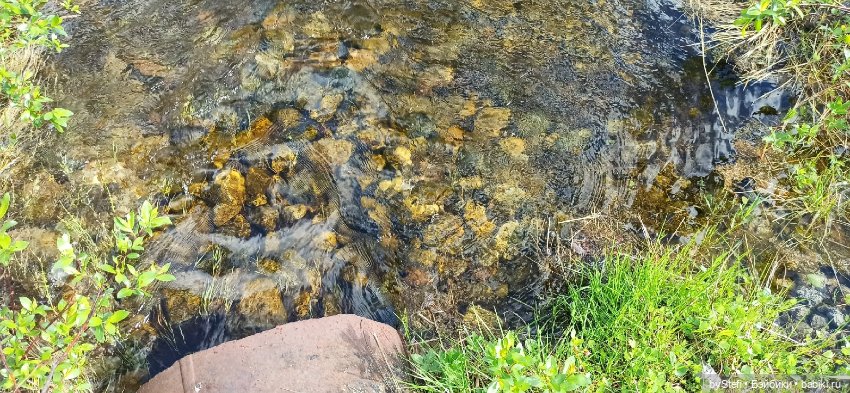 Выловили солнечный денёк 19.06.2021. Заполярье. Прогулка. Часть 3