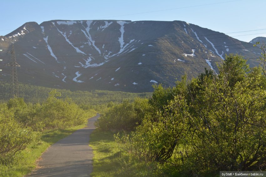 Выловили солнечный денёк 19.06.2021. Заполярье. Прогулка. Часть 5