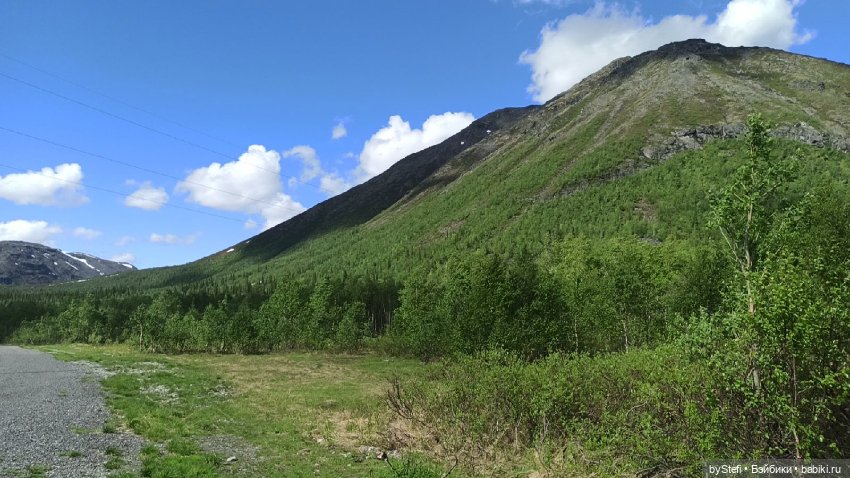 Выловили солнечный денёк 19.06.2021. Заполярье. Прогулка. Часть 1