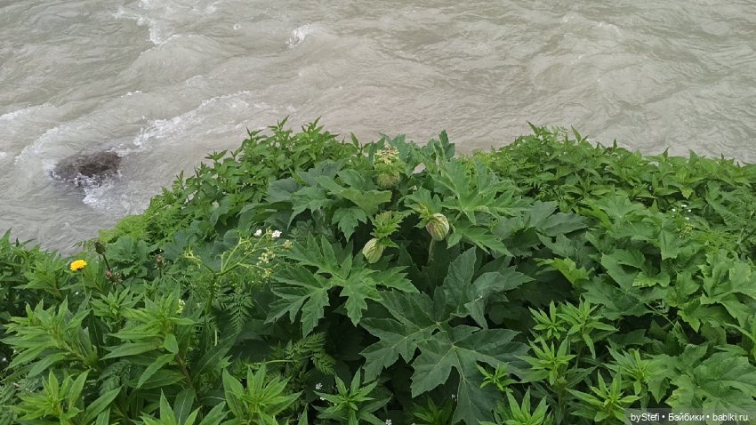 Выловили солнечный денёк)) 19.06.2021. Заполярье. Прогулка. Часть 4