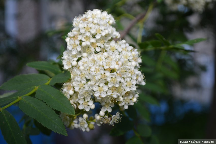 Выловили солнечный денёк 19.06.2021. Заполярье. Прогулка. Часть 6. Заключительная