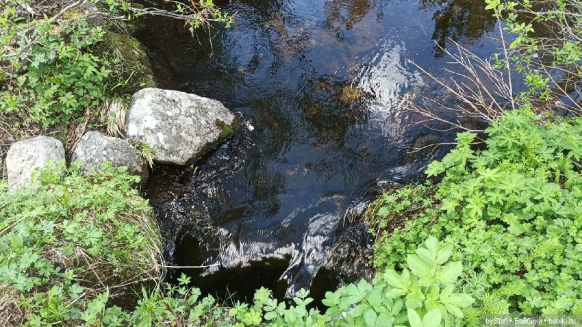 Выловили солнечный денёк 19.06.2021. Заполярье. Прогулка. Часть 2 (фото 9)