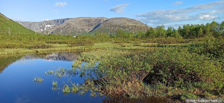 Выловили солнечный денёк 19.06.2021. Заполярье. Прогулка. Часть 5 (фото 3)