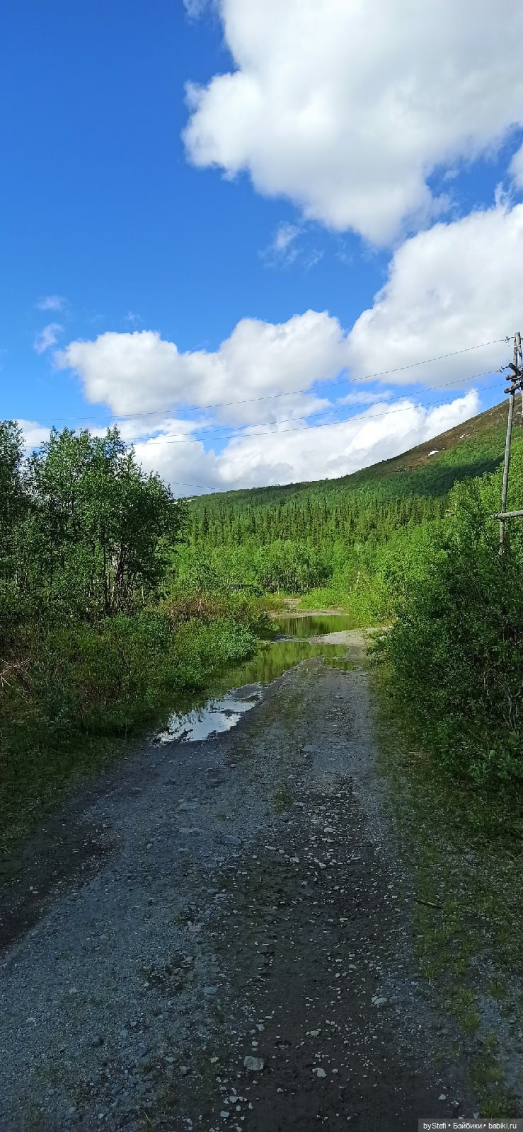 Выловили солнечный денёк 19.06.2021. Заполярье. Прогулка. Часть 3