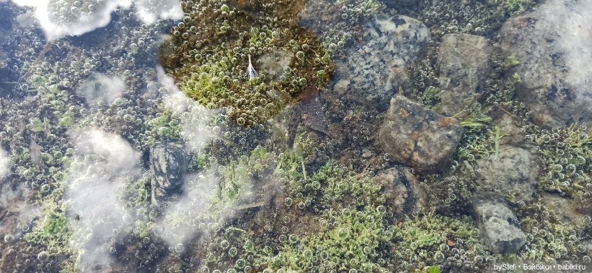 Выловили солнечный денёк 19.06.2021. Заполярье. Прогулка. Часть 3