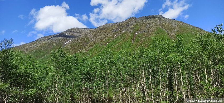 Выловили солнечный денёк 19.06.2021. Заполярье. Прогулка. Часть 2 (фото 6)