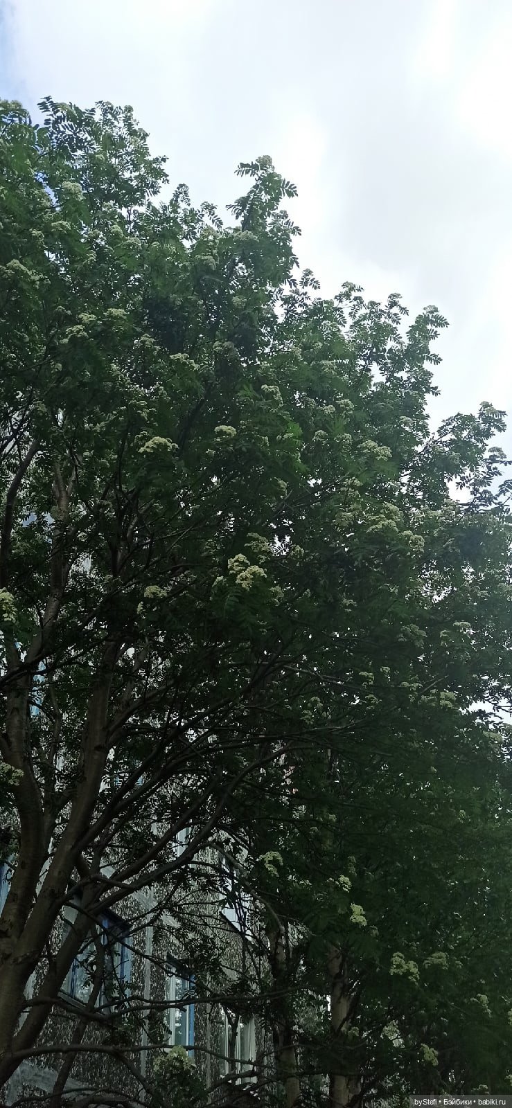 Выловили солнечный денёк)) 19.06.2021. Заполярье. Прогулка. Часть 4