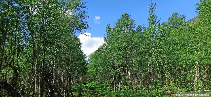Выловили солнечный денёк 19.06.2021. Заполярье. Прогулка. Часть 2