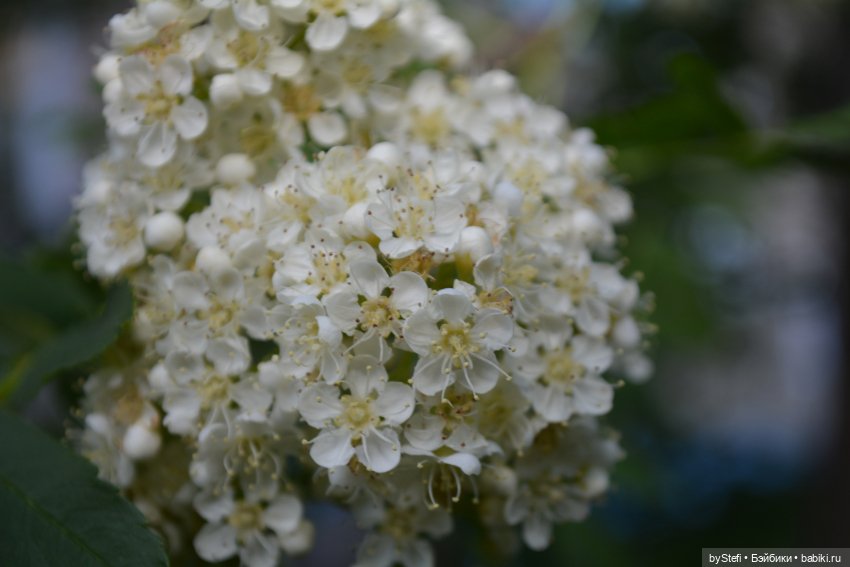 Выловили солнечный денёк 19.06.2021. Заполярье. Прогулка. Часть 6. Заключительная