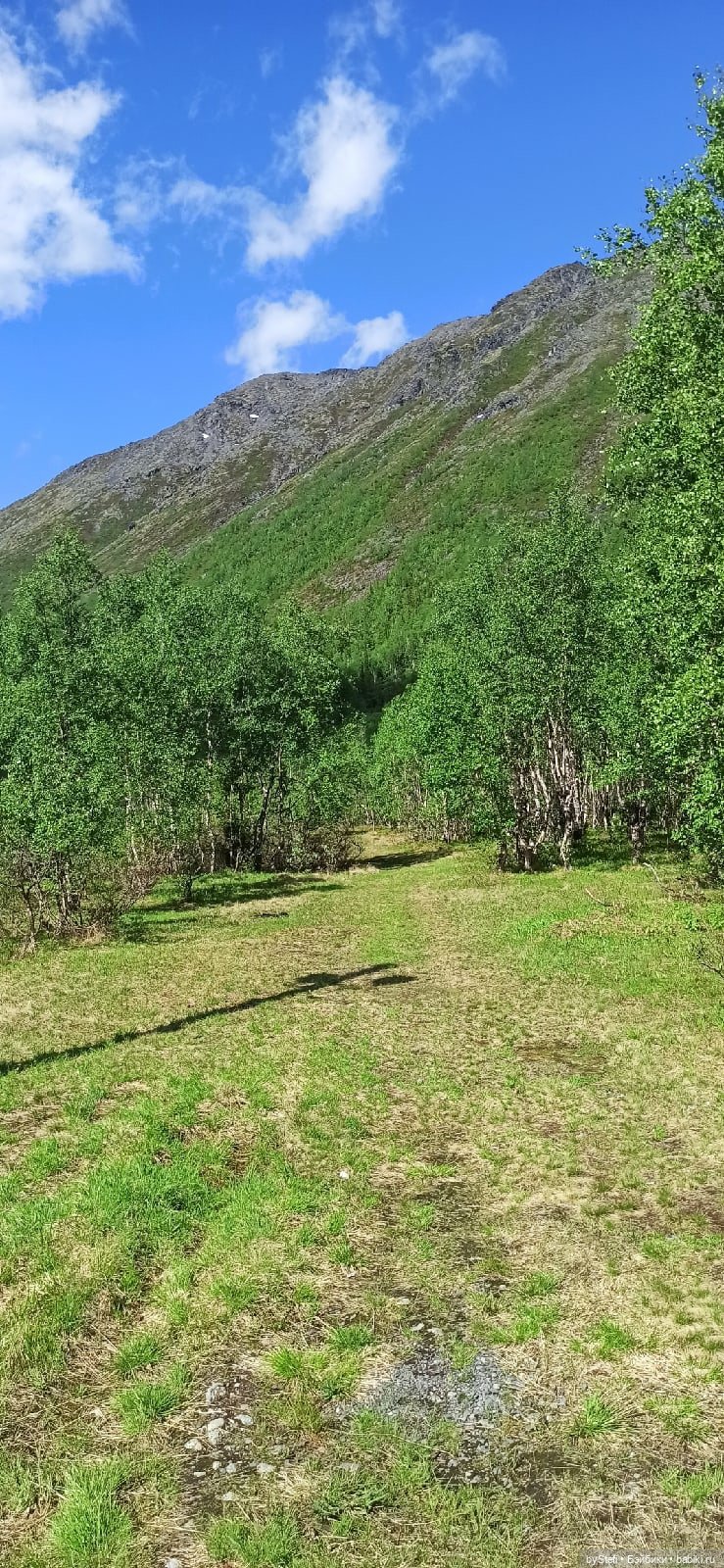 Выловили солнечный денёк 19.06.2021. Заполярье. Прогулка. Часть 1