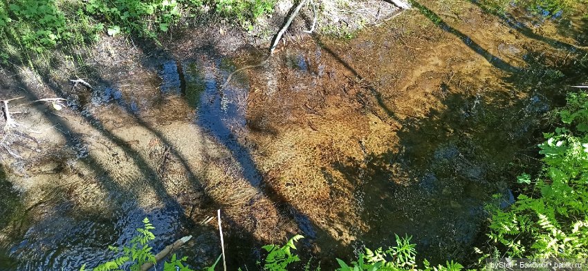 Выловили солнечный денёк 19.06.2021. Заполярье. Прогулка. Часть 2
