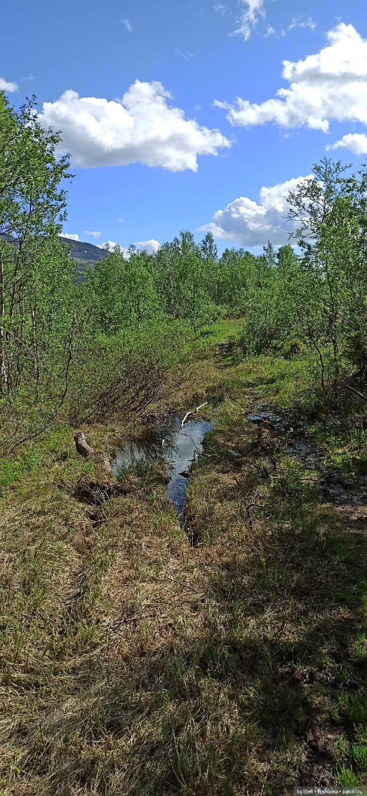 Выловили солнечный денёк 19.06.2021. Заполярье. Прогулка. Часть 2